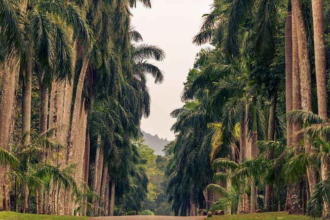Sigiriya and Dambulla Private Full-Day Guided Tour - Who this tour suits best (and who might want a different plan)