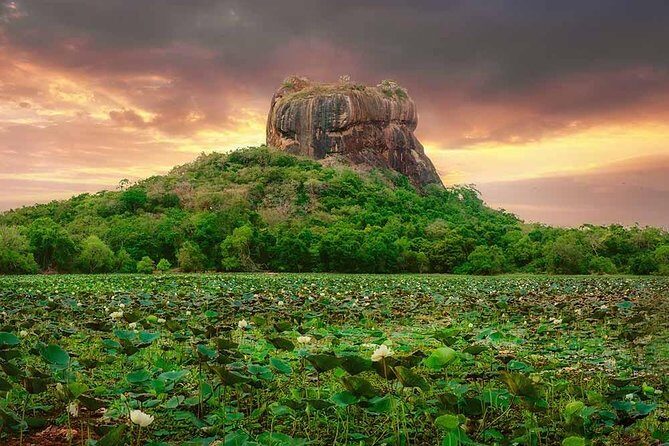 Sigiriya and Dambulla Tour (All Inclusive) - Price and value: is $140.20 per person fair?