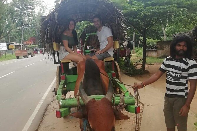 Sigiriya city tour from Negombo & Colombo with traditional Lunch. - Lunch in a Sri Lankan Village: What You’re Really Getting
