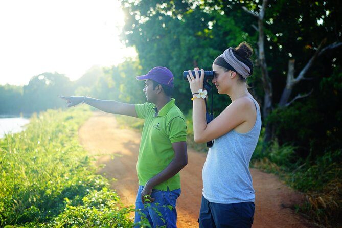 Sigiriya Cycle Tour: Explore Village Life in Sigiriya & Enjoy a Village Lunch - Pedal through paddy fields, farms, and village roads