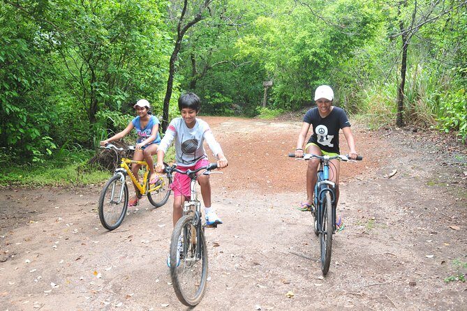 Sigiriya Cycle Tour: Explore Village Life in Sigiriya & Enjoy a Village Lunch - Guides and pacing: why a local expert matters