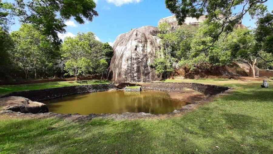 Sigiriya & Dambulla: All Inclusive Day Tour - Dambulla Cave Temple and Golden Temple: murals, cave-carved Buddhas, and a guided read