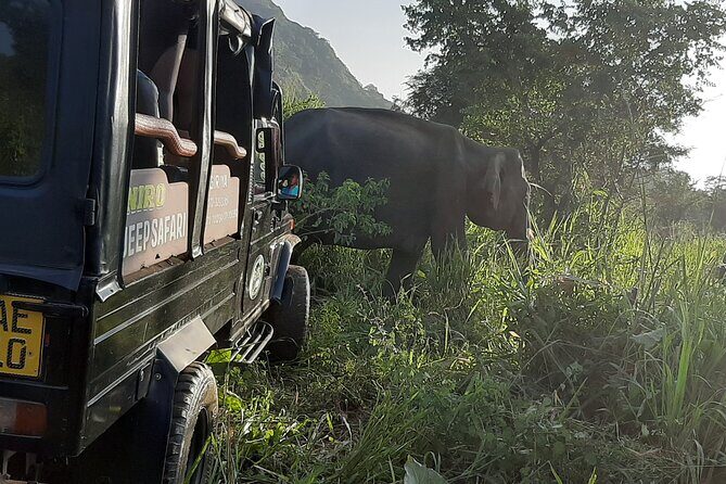 Sigiriya, Dambulla and Minneriya National Park Private Tour In - Key things to know before you go