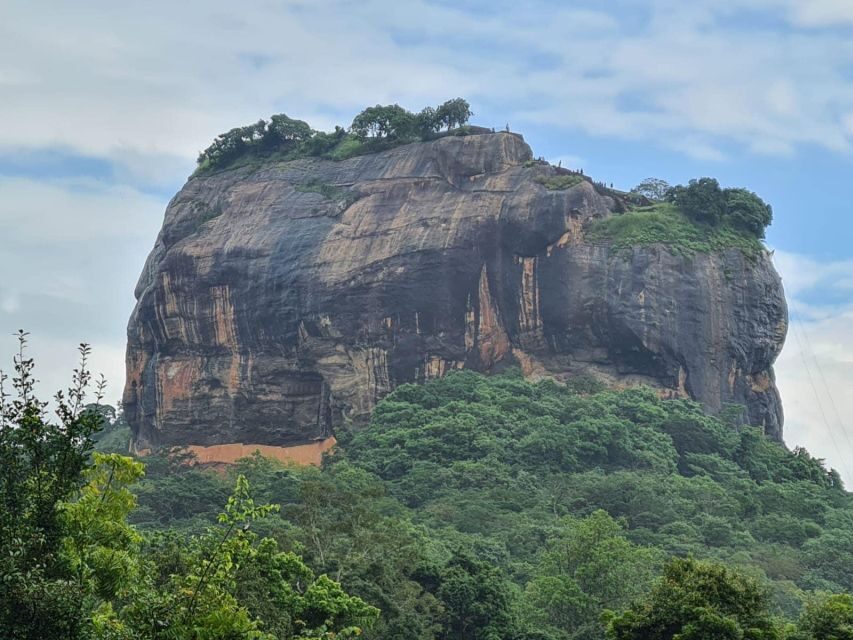 Sigiriya, Dambulla, and Village Safari Day Tour from Negombo - Should You Book This Sigiriya, Dambulla, and Village Safari Day Tour From Negombo?