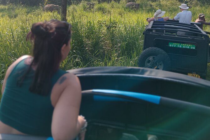 Sigiriya Dambulla Wonders Day Trip from Kandy - A quick wildlife slot at Minneriya National Park
