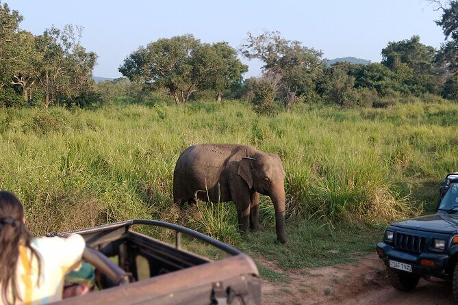 Sigiriya Dambulla Wonders Day Trip from Kandy - The guide experience: what you’re paying for beyond transport
