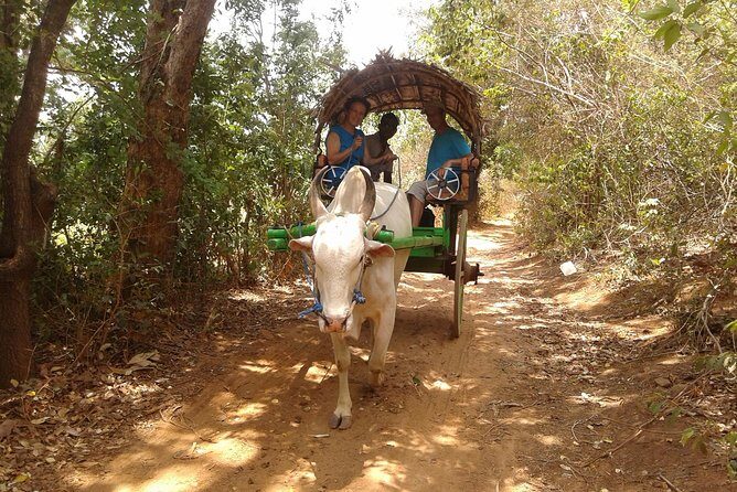 Sigiriya Day Tour - Dambulla Cave Temple - Golden Temple of Dambulla: caves, views, and the must-see part