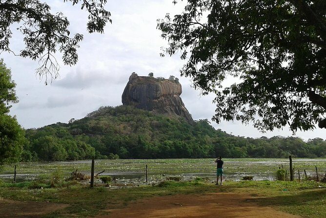 Sigiriya Day Tour - Dambulla Cave Temple - Price and value: is $60 a good deal?