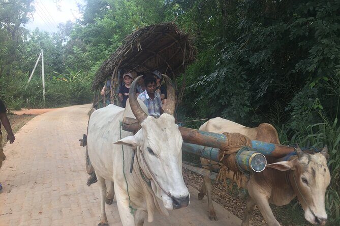 Sigiriya Day Trip with Experts - Who This Trip Suits Best (and Who Should Skip It)