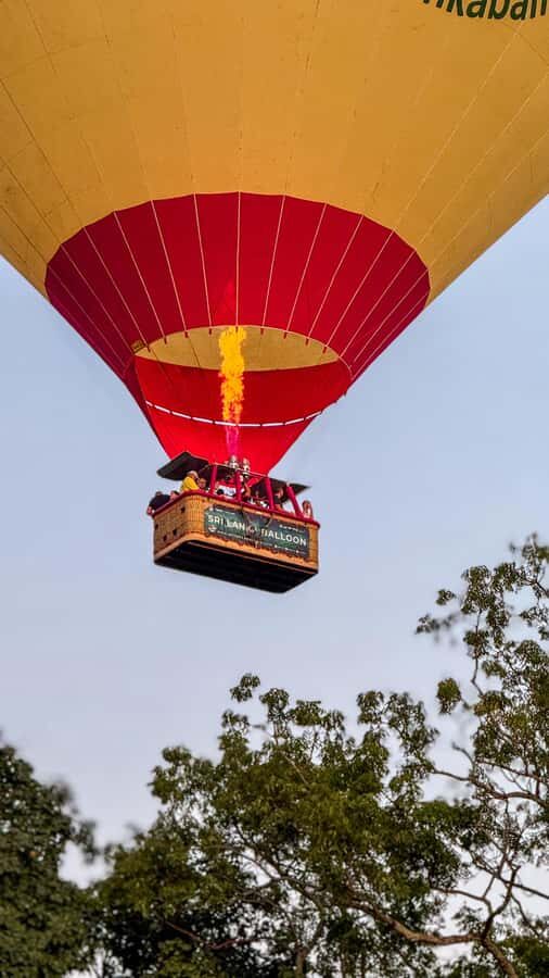 Sigiriya: Hot Air Balloon Ride - Transfers and driver guide: less stress, more time in your own day