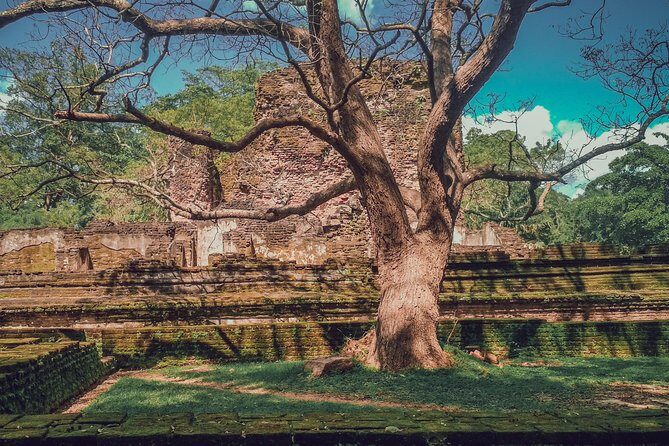 Sigiriya, Polonnaruwa & Dambulla "Trilogy" Day Tour from Colombo - Dambulla Cave Temple in 1 hour: short time, big atmosphere