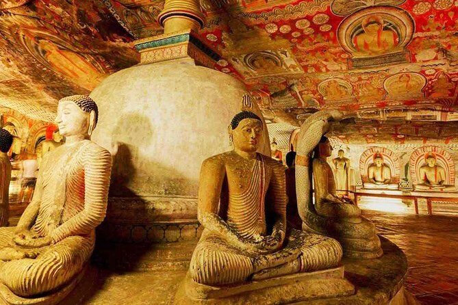 Sigiriya Rock and Dambulla Cave Temples from Negombo (All inclusive day tour) - Price and value check: what $75 really buys you