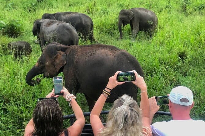 Sigiriya Rock Climb, Village Tour+Cooking Class & Elephant Safari - Key Things I’d Plan Around