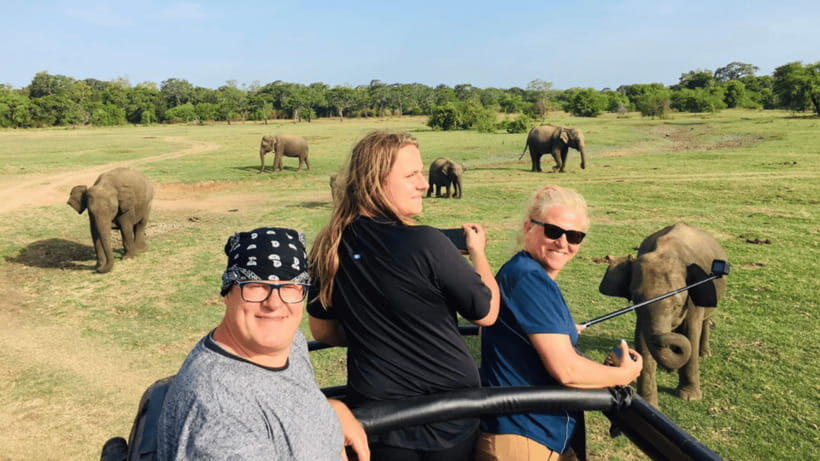 Sigiriya Rock Hike & Minneriya Elephant Safari – Day Tour - Lunch and transfer: how to avoid losing time