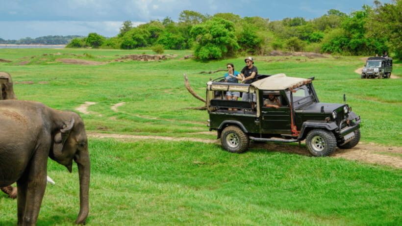 Sigiriya Rock Hike & Minneriya Elephant Safari – Day Tour - Private-group comfort and what you’re paying for
