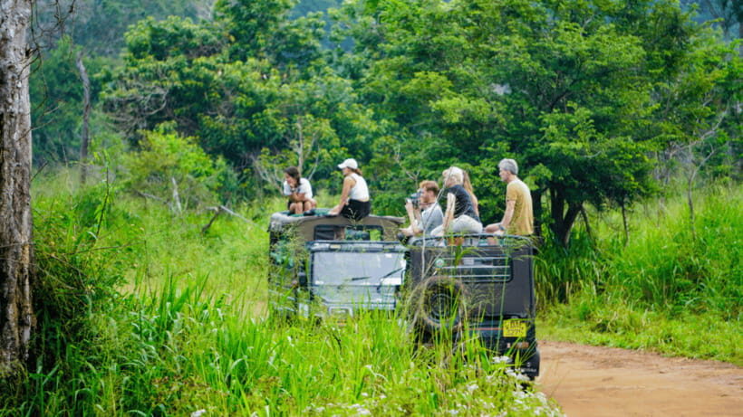 Sigiriya Rock Hike & Minneriya Elephant Safari – Day Tour - Who this Sigiriya + Minneriya day tour is best for