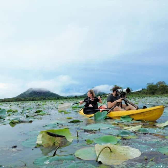 Sigiriya: Sunrise or Sunset Kayaking Tour - What happens on the water in 90 minutes