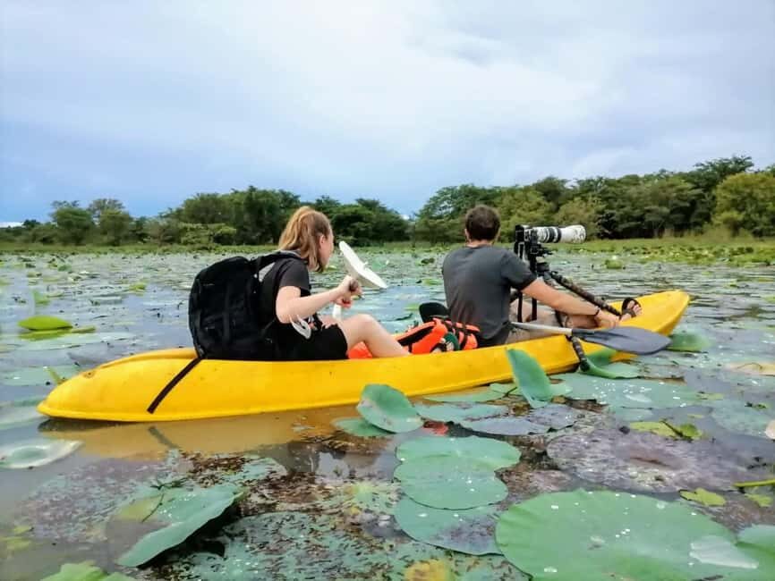 Sigiriya: Sunrise or Sunset Kayaking Tour - Should you book this tour for Sigiriya?