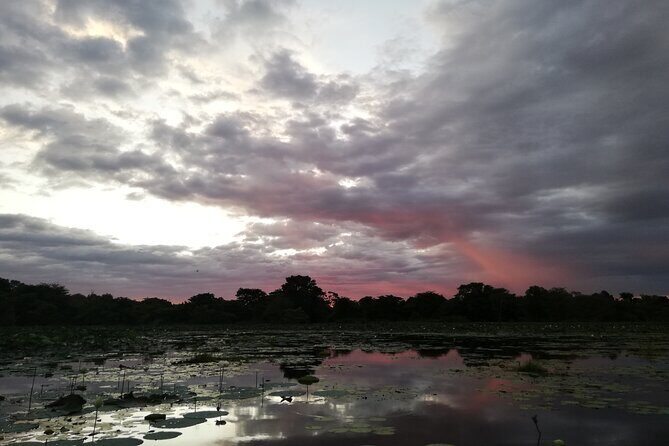 Sigiriya Sunrise/Sunset Guided Boat Ride - History stories: King Kashyapa and the monastic world, told on the water
