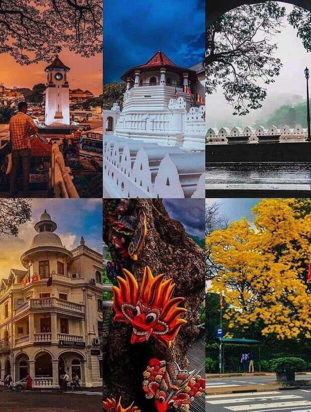 Sigiriya To Kandy Private Transfer: Visit Dambulla Temple - Herbal Spice Garden: Cinnamon, Cloves, and Cardamom Lessons