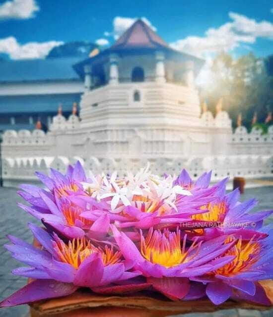 Sigiriya To Kandy Private Transfer: Visit Dambulla Temple - FAQ