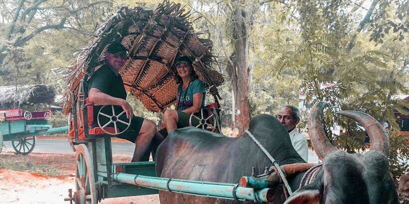 Sigiriya Village Tour and Lunch - Who This Tour Suits Best (And Who Might Want Something Else)