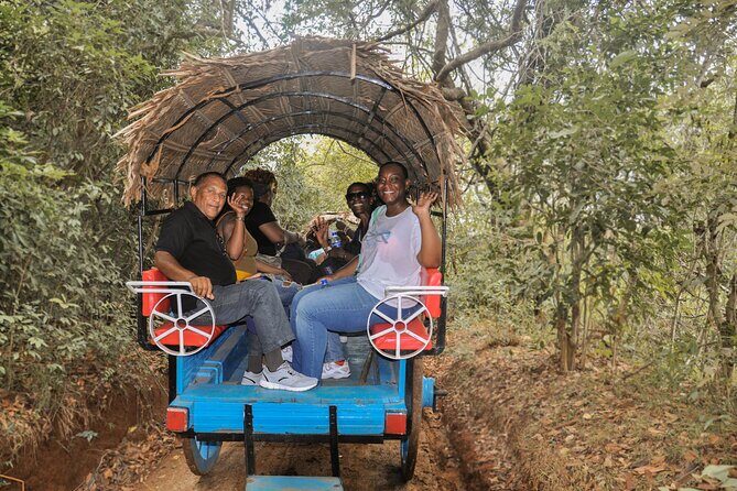 Sigiriya Village Tour and Lunch - Catamaran Safari on the Reservoir: Wildlife Spotting Time