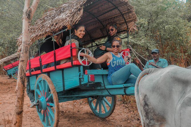 Sigiriya Village Tour and Lunch - Seasonal Paddy Fields and Rice Cultivation Insights