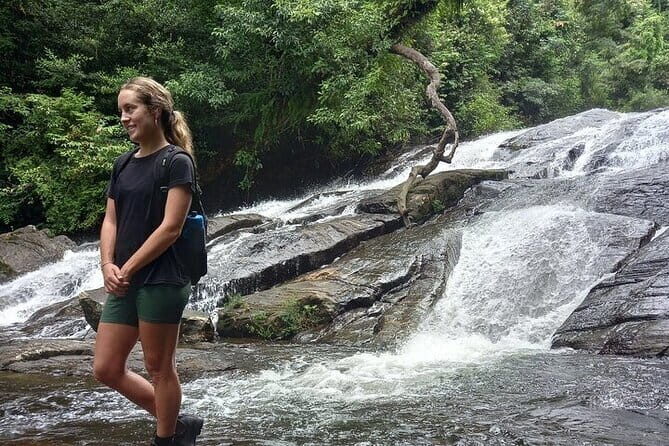 Sinharaja Rain Forest Day Tour from Mirissa, Galle, Bentota Area - Sinharaja from the south coast: why this day feels special