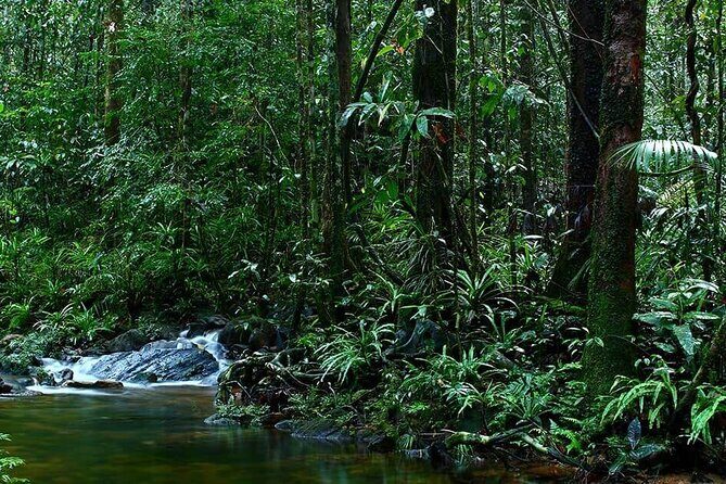 Sinharaja Rain Forest Guided Day Tour - Waterfalls on the route: trekking to the falls and choosing your dip