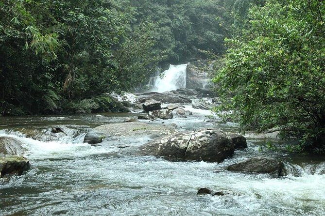 Sinharaja' rainforest - Discovery Tour (half day) - Key Things to Know Before You Go