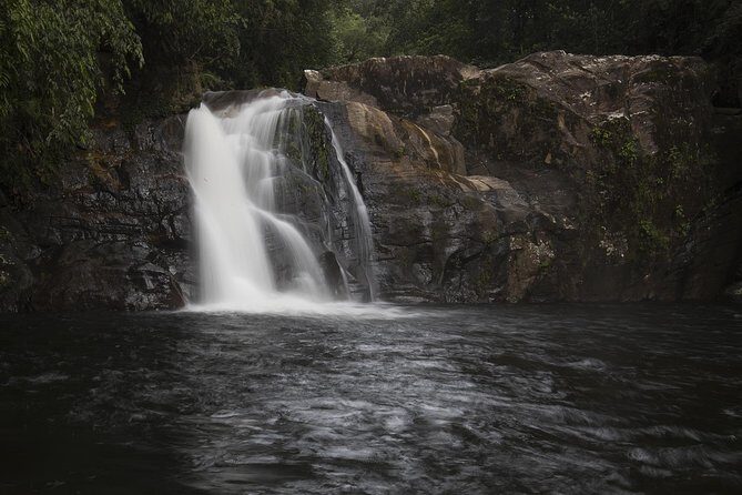 Sinharaja' rainforest - Discovery Tour (half day) - Sinharaja Morning Walk: What This Tour Gets Right