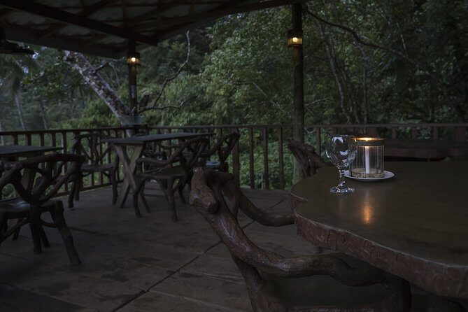 Sinharaja' rainforest - Discovery Tour (half day) - Entering Sinharaja Forest Reserve: What the Hike Feels Like