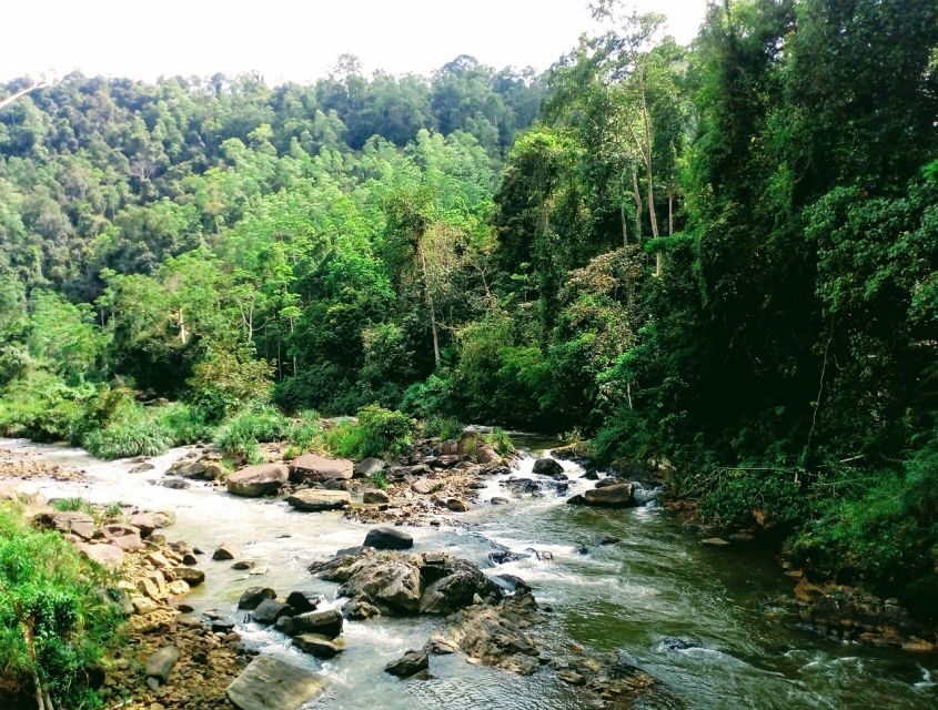 Sinharaja Rainforest Private & Customize Tour - Who should book this Sinharaja private tour?