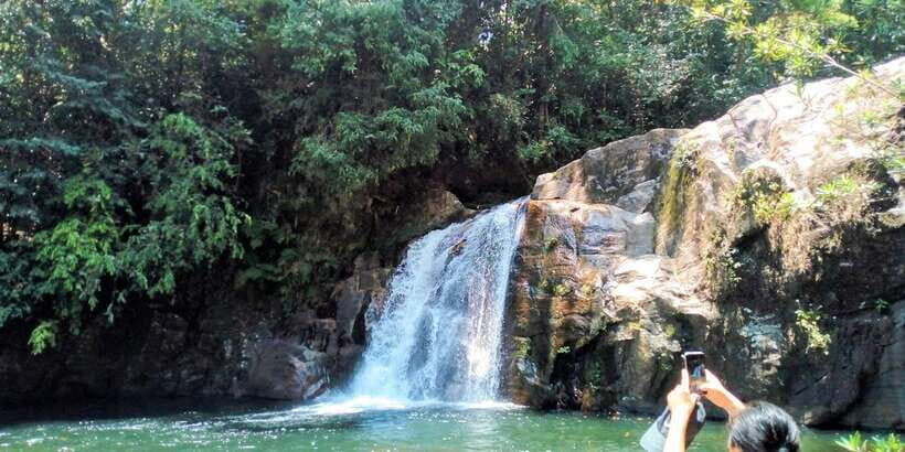 Sinharaja Rainforest Private & Customize Tour - How a private Sinharaja day really plays out