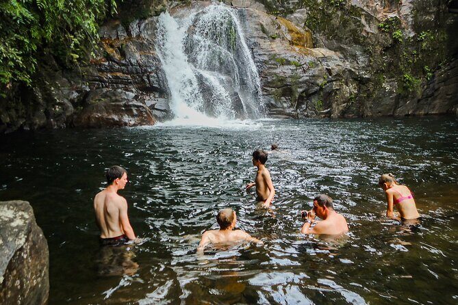 Sinharaja Rainforest Private Half Day Tour with Licensed Guide - Key highlights you’ll feel fast