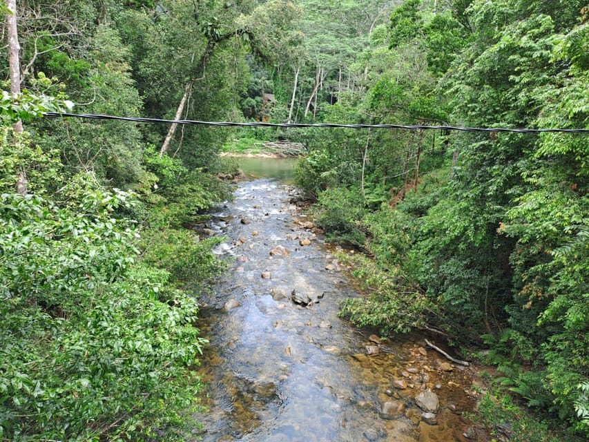 Sinharaja Rainforest Tour - Practical packing and rain planning (so the day stays pleasant)