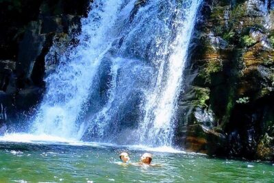 Sinharaja Rainforest Tour - Pickup and transfers from the south coast