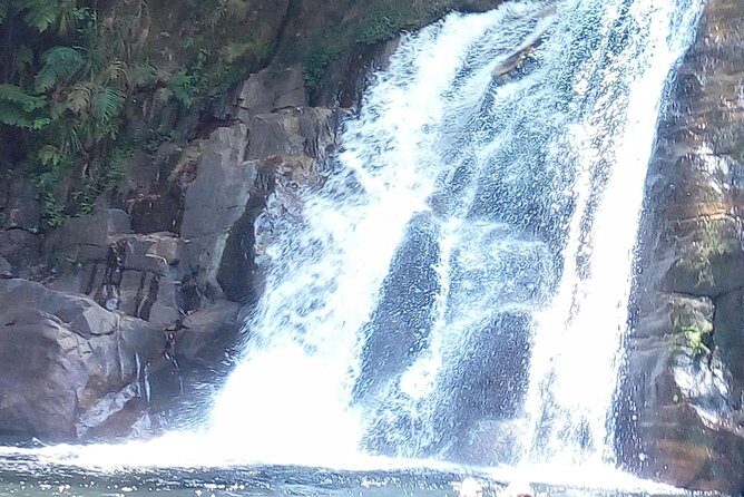 Sinharaja Rainforest Tour - Timing and Duration: 8 to 10 Hours That Make Sense