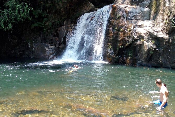 Sinharaja Rainforest Tour - Price and Value: Is $110 Worth a Private Rainforest Day?
