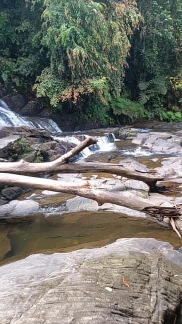 Sinharaja Rainforest: Tour with 5 Waterfalls Trek - 5 Waterfalls Trek Key Points (Sinharaja Rainforest)
