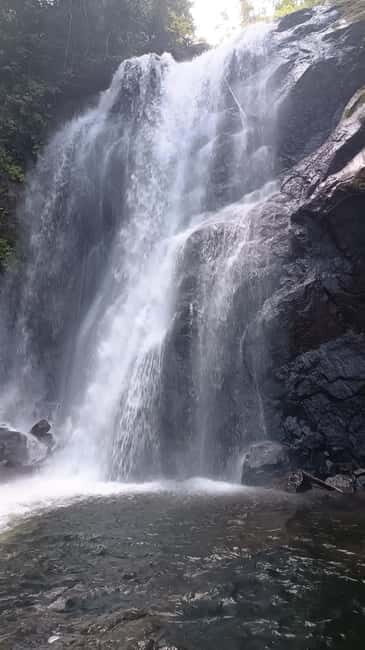 Sinharaja Rainforest: Tour with 5 Waterfalls Trek - Sinharaja Rainforest to Duli Ella: The Scenic Start From the Coast