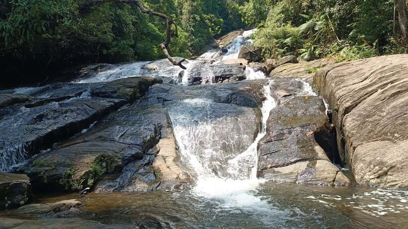 Sinharaja Rainforest: Tour with 5 Waterfalls Trek - The Main Event: Seeing 5 Waterfalls in One Day