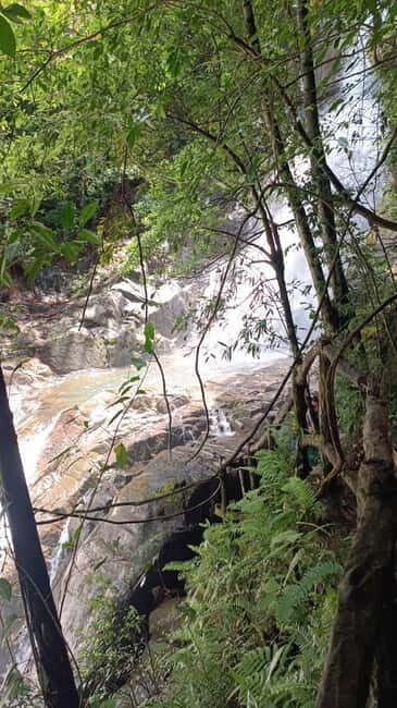 Sinharaja Rainforest: Tour with 5 Waterfalls Trek - Lunch in a Local Village Setting (Rice and Curry Time)