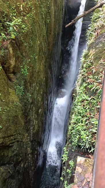 Sinharaja Rainforest: Tour with 5 Waterfalls Trek - Transport, Time, and What the Full Day Feels Like