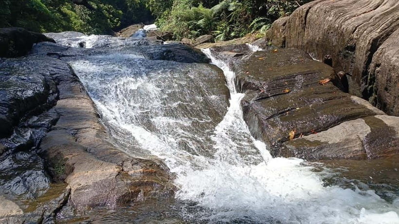Sinharaja Rainforest: Tour with 5 Waterfalls Trek - Packing List That Actually Helps on Waterfall Trails