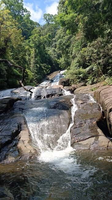 Sinharaja Rainforest: Tour with 5 Waterfalls Trek - Price and Value: Why $95 Can Make Sense Here
