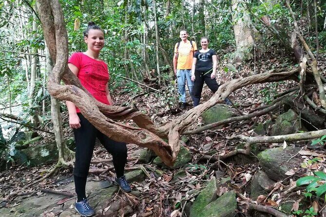 Sinharaja Rainforest Trekking Private Day Trip with Local Lunch - Should you book this Sinharaja trekking day trip from Bentota?