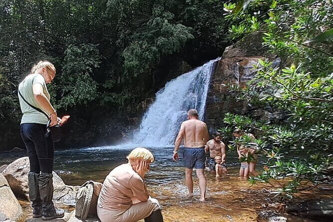 Sinharaja Rainforest Trip - Entering Sinharaja: what makes this rain forest special
