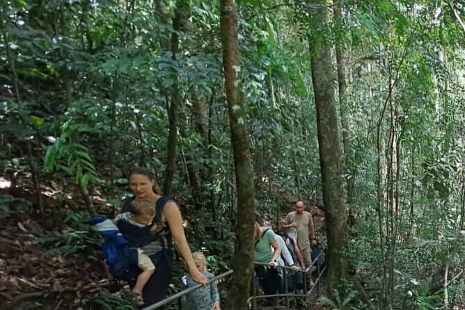 Sinharaja Rainforest Trip - Price, group setup, and whether $55 is fair